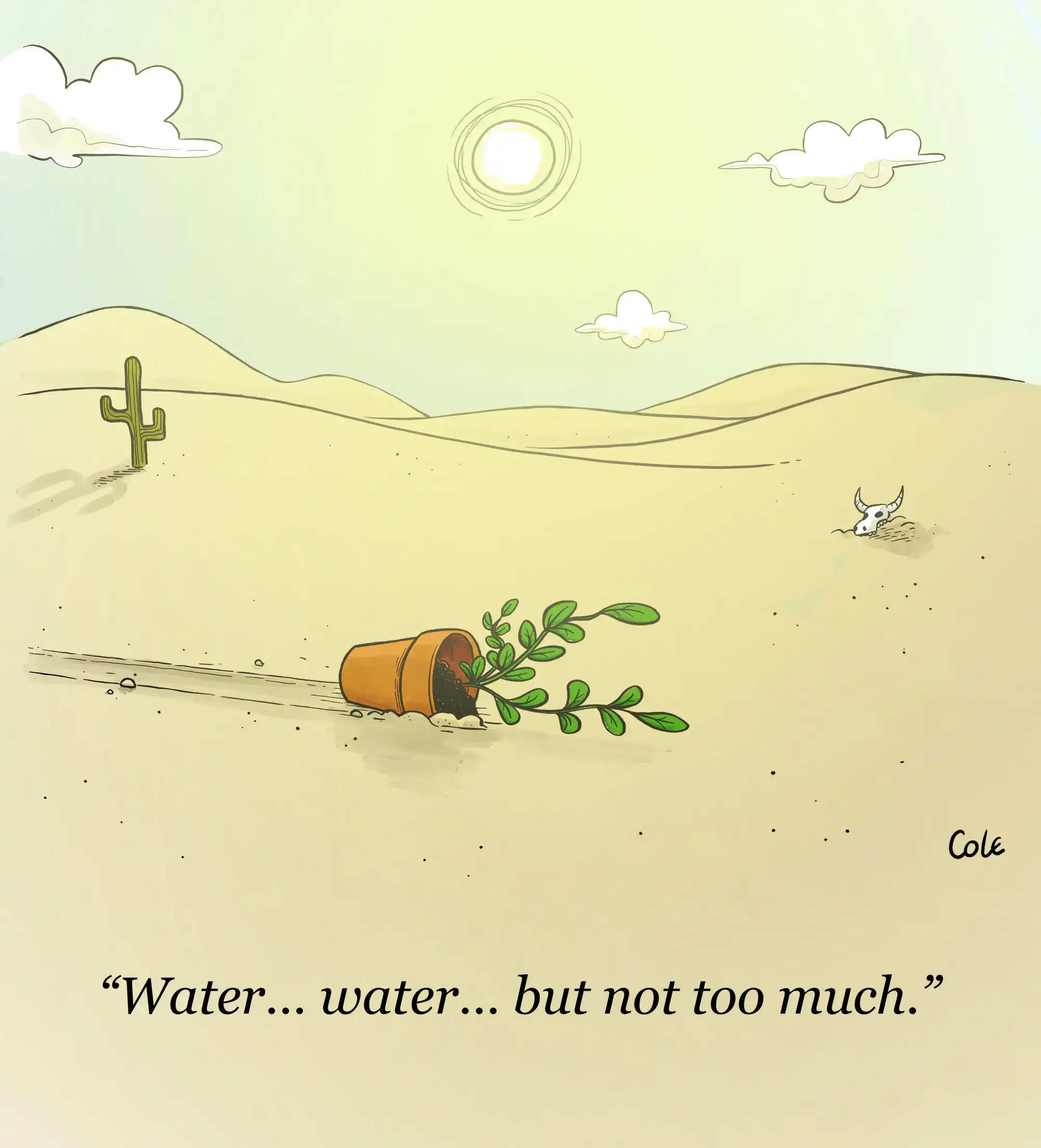 a houseplant crawling through a hot desert. the caption reads: "water... water... but not too much."