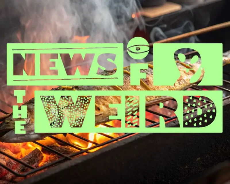 the news of the weird logo in green, superimposed over a fish on a BBQ