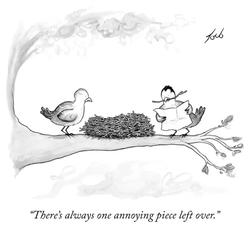 birds building a nest, one holding instructions and a leftover twig in its mouth. caption reads: "there's always one annoying piece left over." 