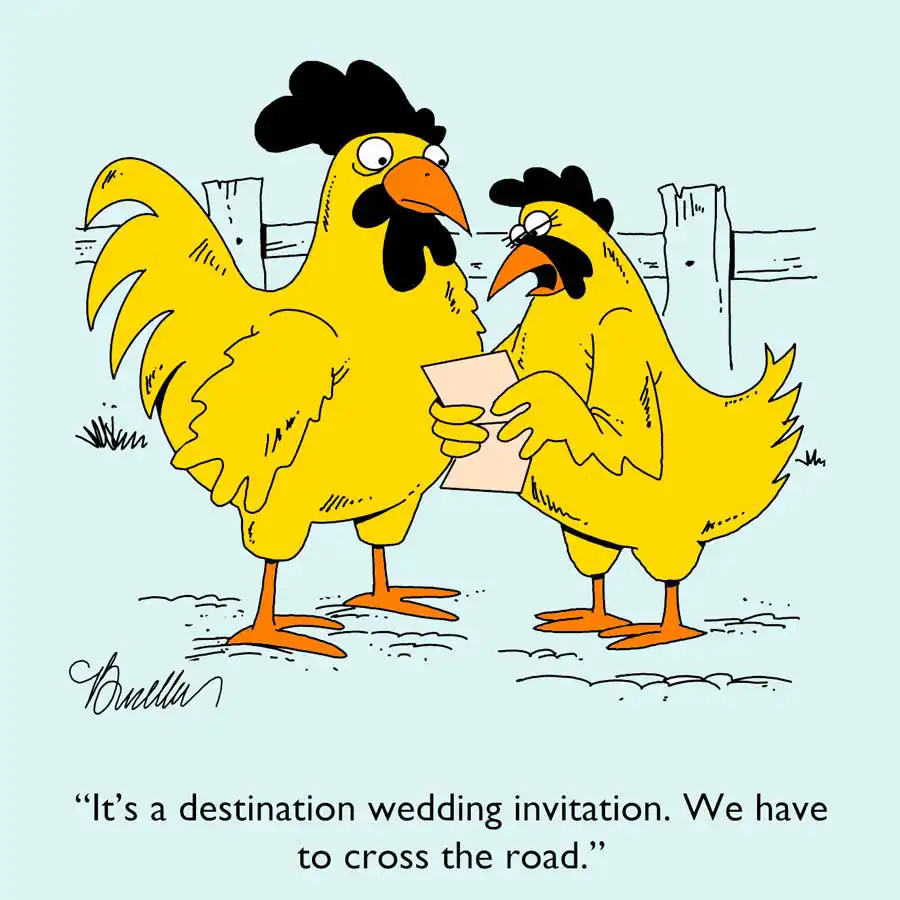 chickens looking at an invitation to a destination wedding