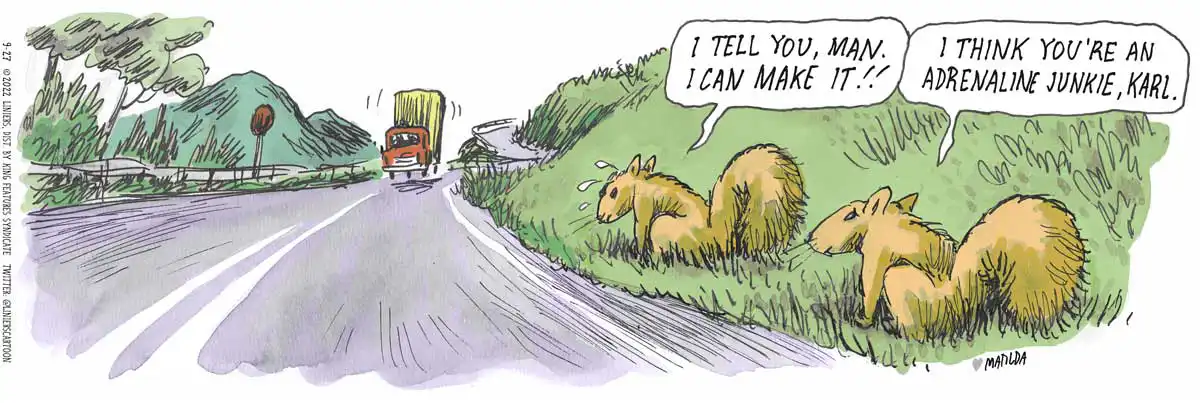 squirrel crossing road cartoon by liniers