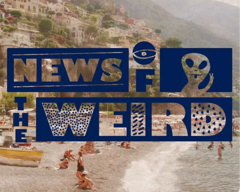 News of the Weird – November 2026