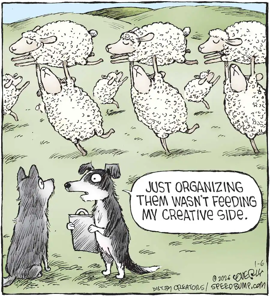 coverly-nov26-cover Two sheep talks talking in the foreground while sheep dance in formation behind them. One dog says